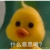 洪范9Chou